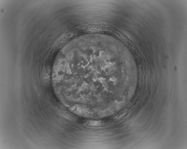 X0000062860507200602031655
