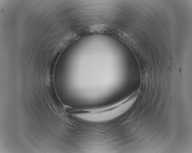 X0000062860508200602031655