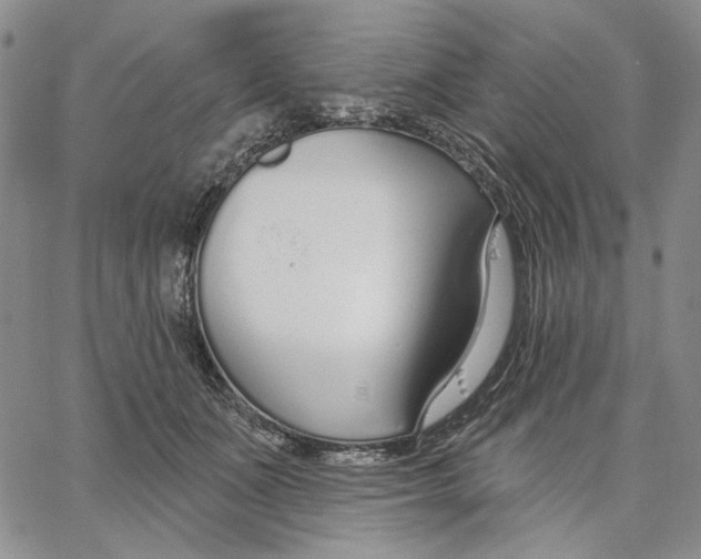 X0000062860511200602031655