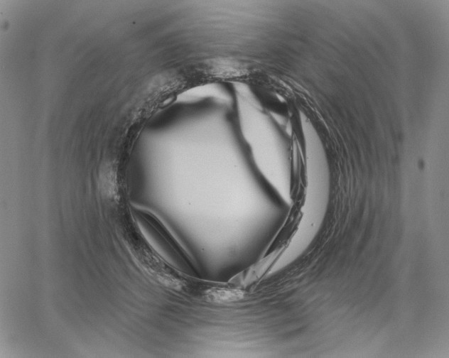 X0000062860512200602031655