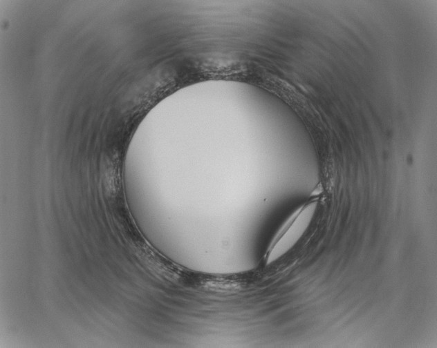 X0000062860515200602031655