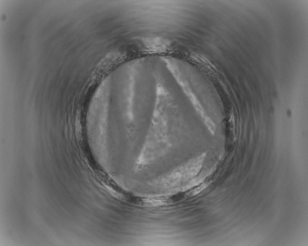 X0000062860516200602031655