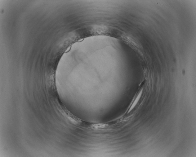 X0000062860526200602031655
