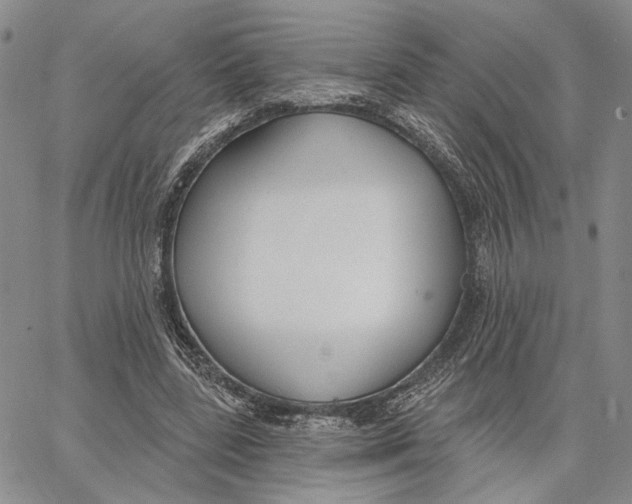 X0000062860539200602031654