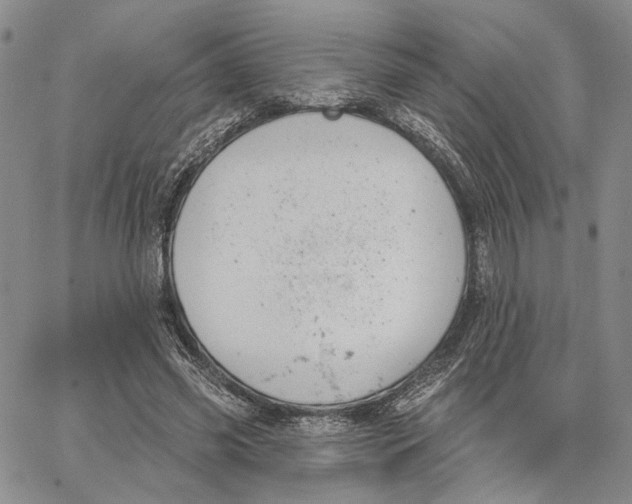 X0000062860541200602031654