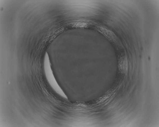X0000062860551200602031654