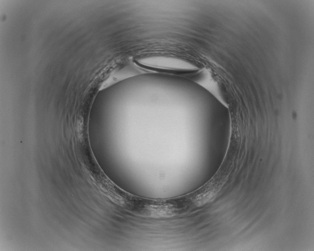 X0000062860556200602031654