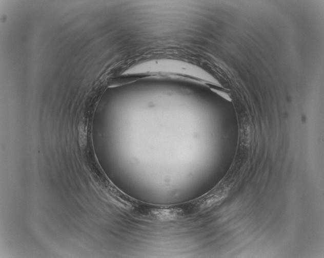 X0000062860558200602031654