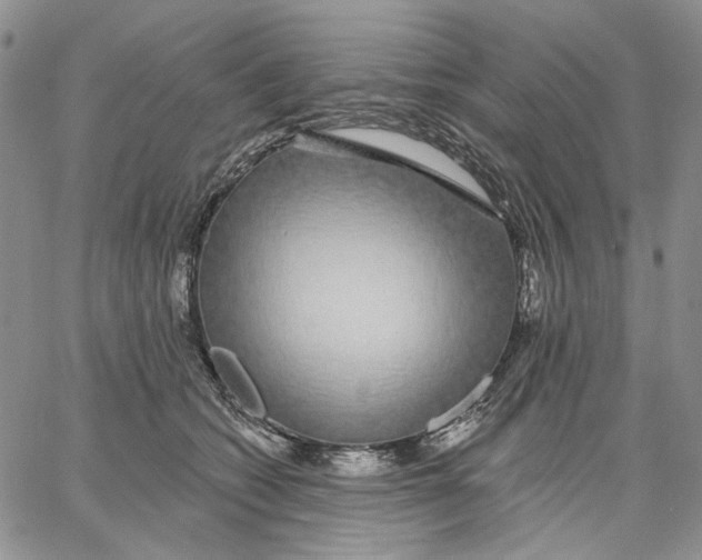 X0000062860562200602031654