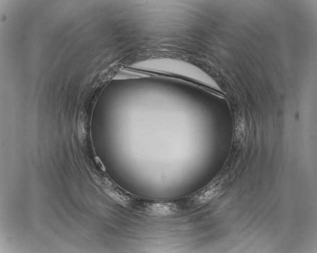X0000062860566200602031654