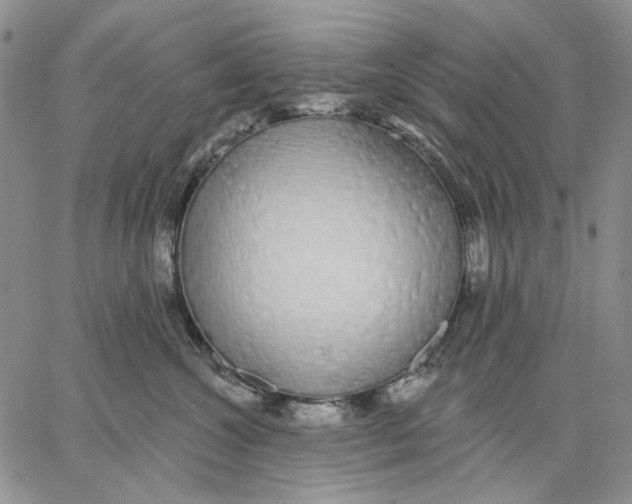 X0000062860572200602031655