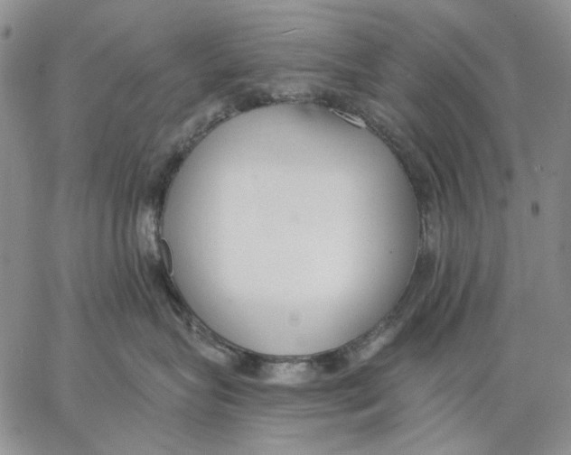 X0000062860575200602031655
