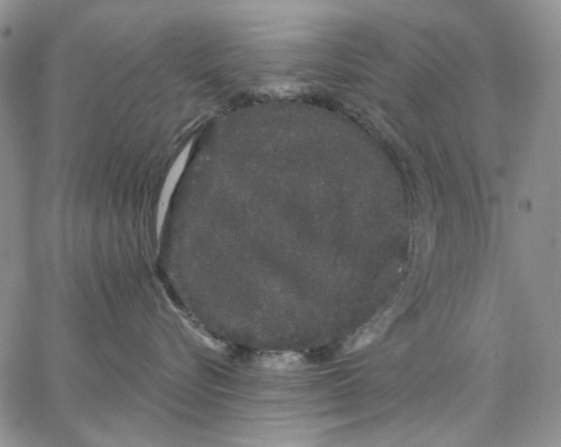 X0000062860576200602031655