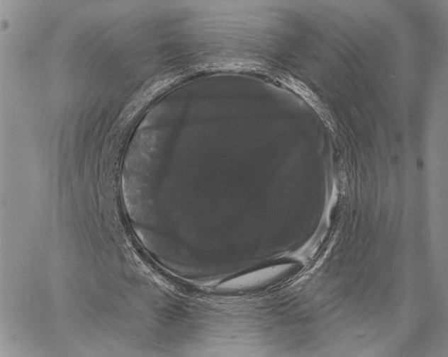 X0000062860577200602031654