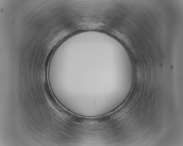 X0000062860582200602031654
