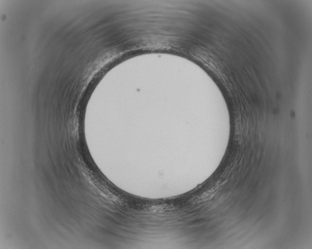 X0000062860584200602031654