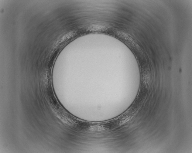X0000062860591200602031654