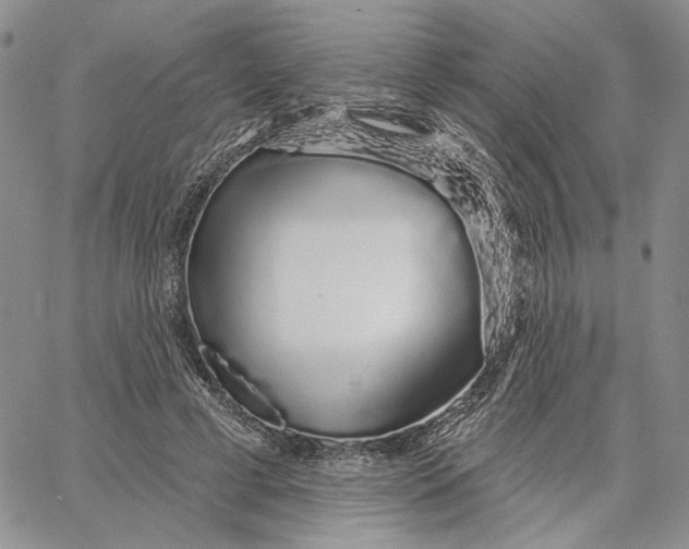 X0000062860593200602031654
