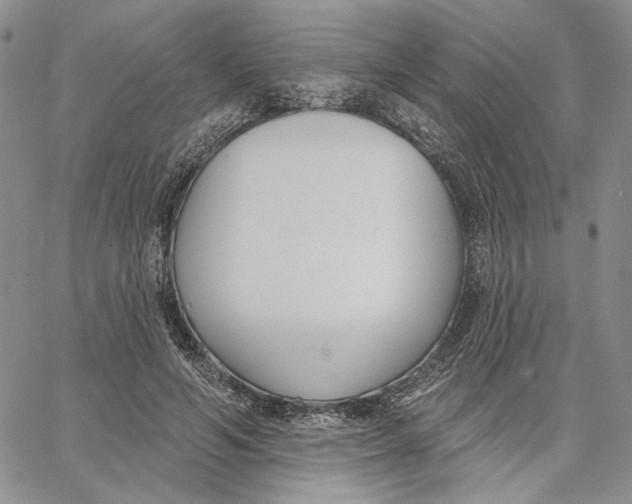 X0000062860594200602031654
