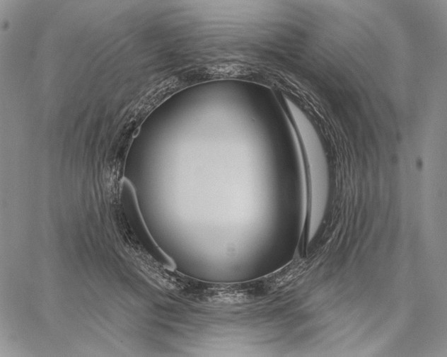 X0000062860601200602031654