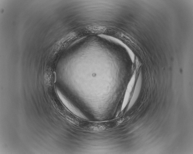 X0000062860604200602031653