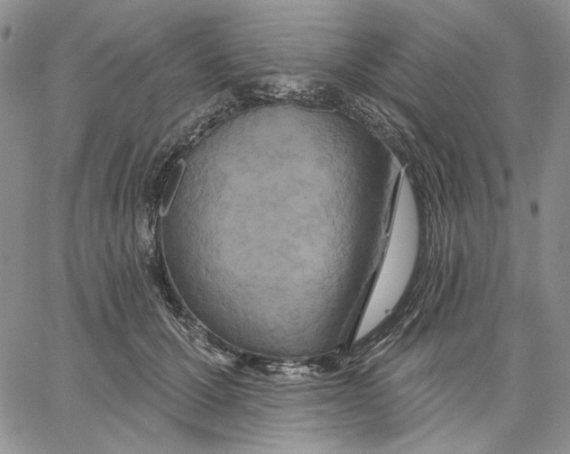 X0000062860607200602031653