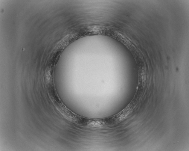 X0000062860611200602031653