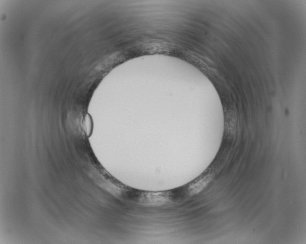 X0000062860622200602031653