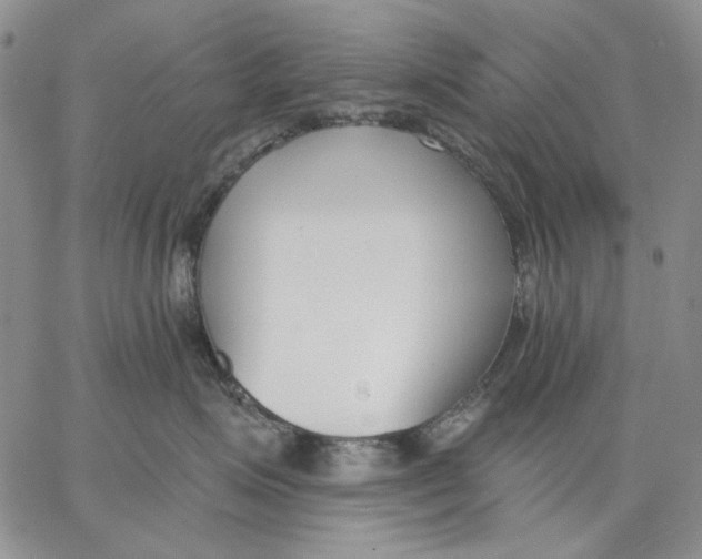 X0000062860623200602031653