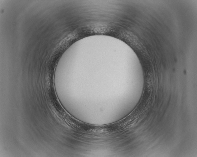 X0000062860639200602031653