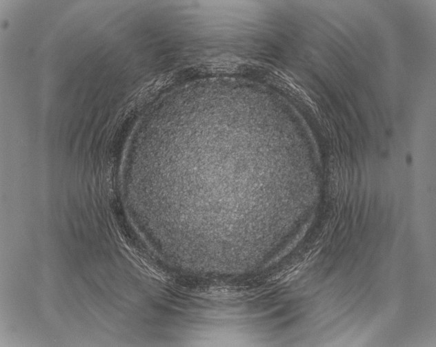 X0000062860641200602031653