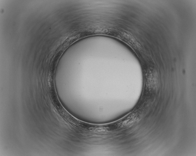 X0000062860643200602031653