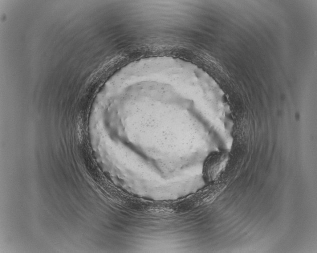 X0000062860644200602031653