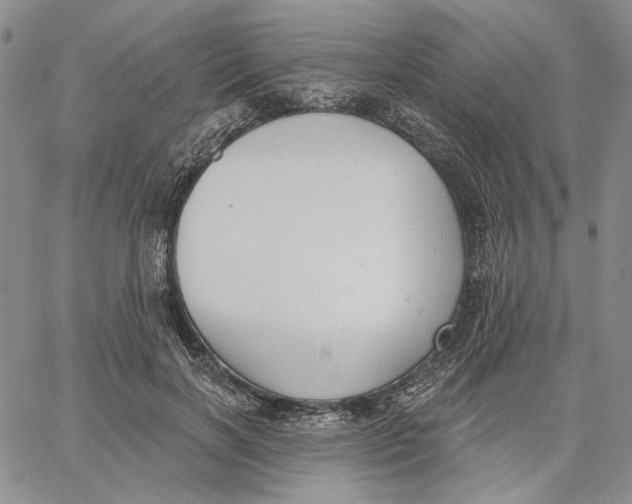 X0000062860646200602031653