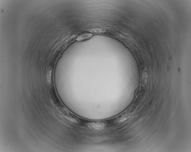 X0000062860652200602031653