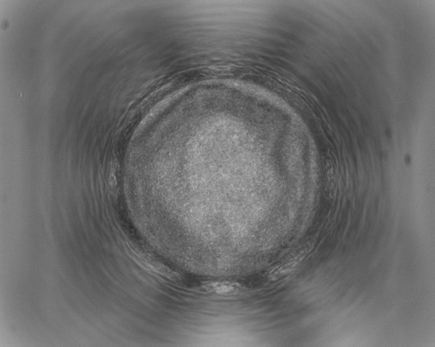 X0000062860654200602031653