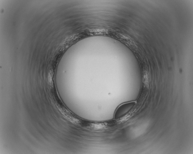 X0000062860662200602031653