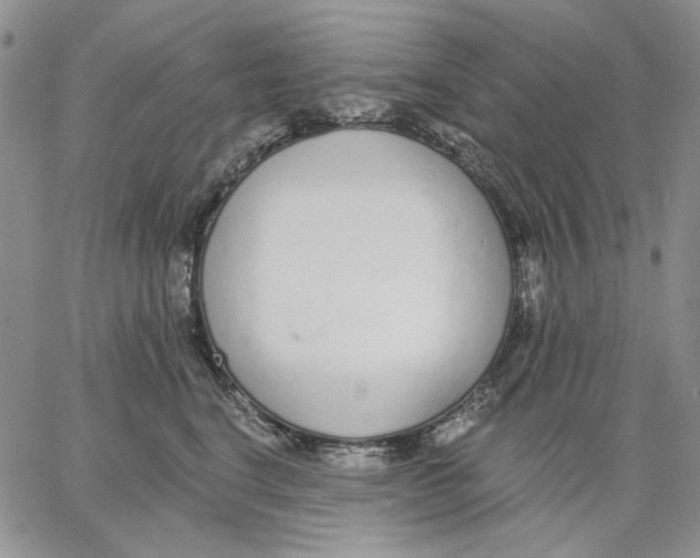 X0000062860664200602031653