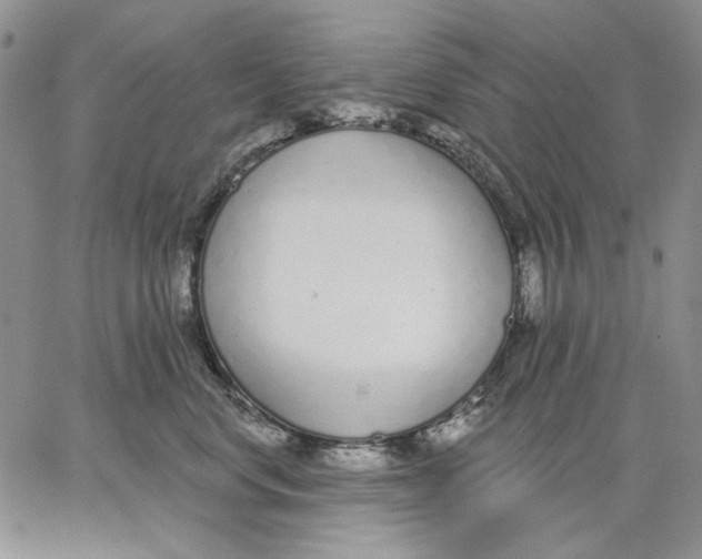 X0000062860668200602031653