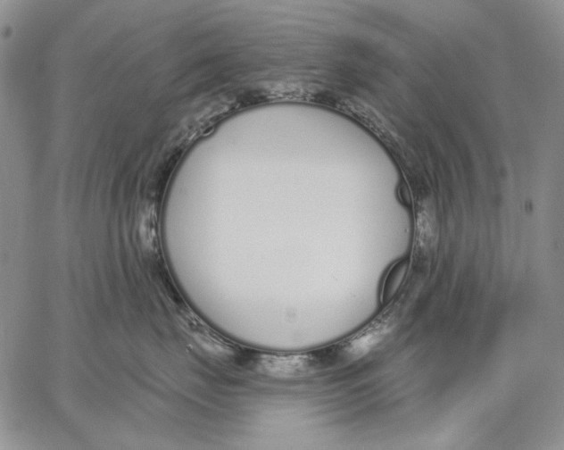 X0000062860671200602031653