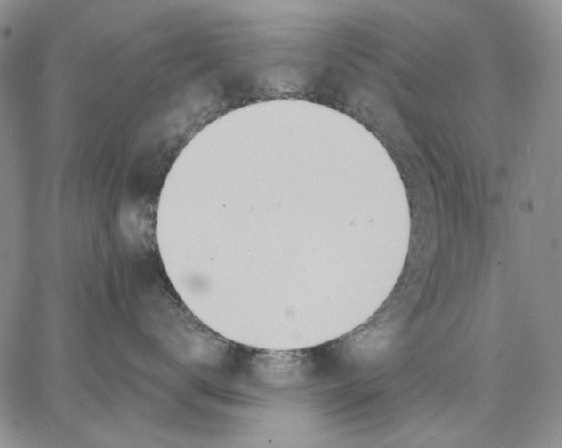 X0000062860672200602031653