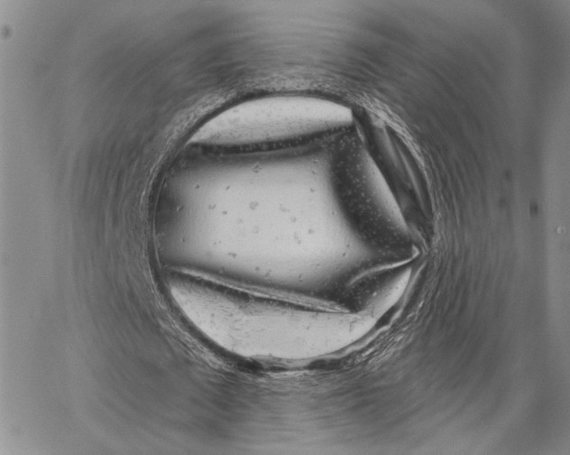 X0000062860673200602031652