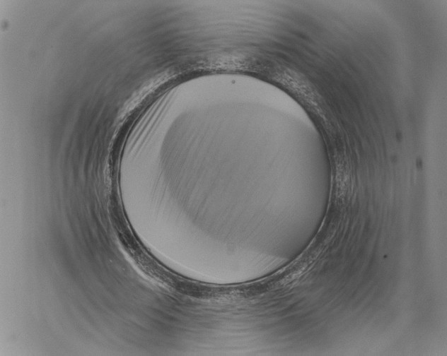 X0000062860674200602031652