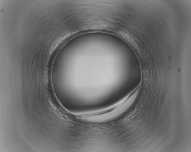 X0000062860676200602031652