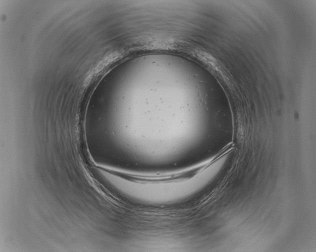 X0000062860677200602031652