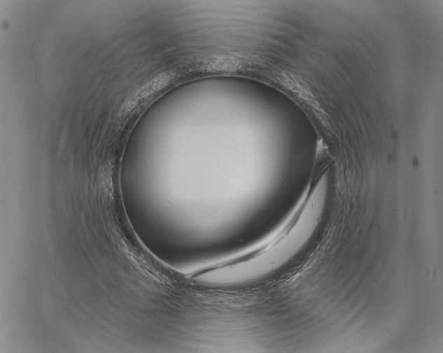 X0000062860681200602031652