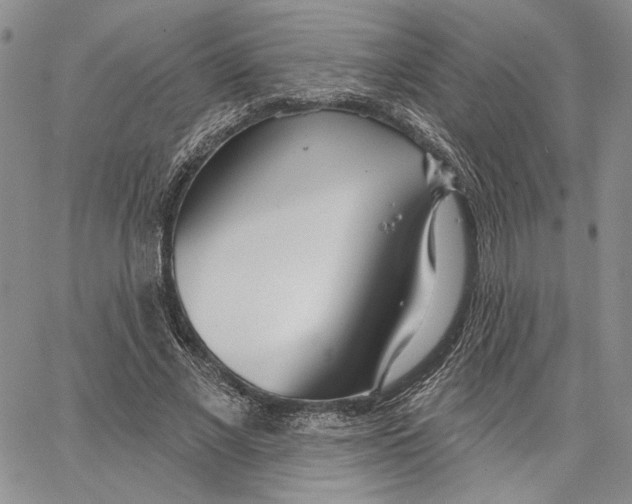 X0000062860685200602031652