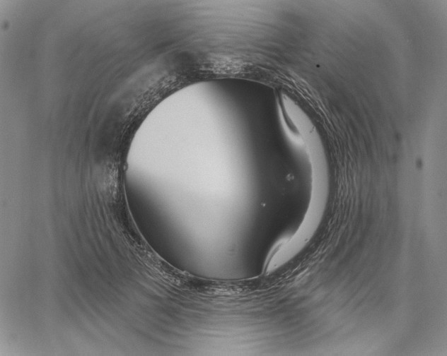 X0000062860697200602031652