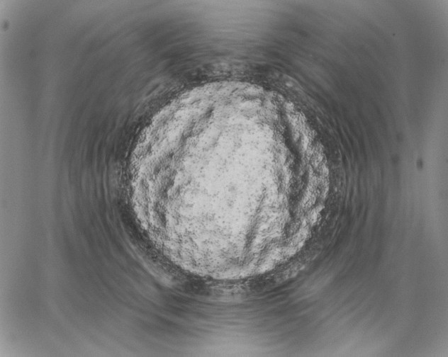 X0000062860711200602031652