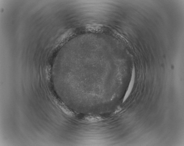 X0000062860712200602031652